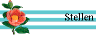  Stellen 